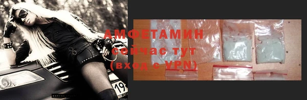 прущие грибы Баксан
